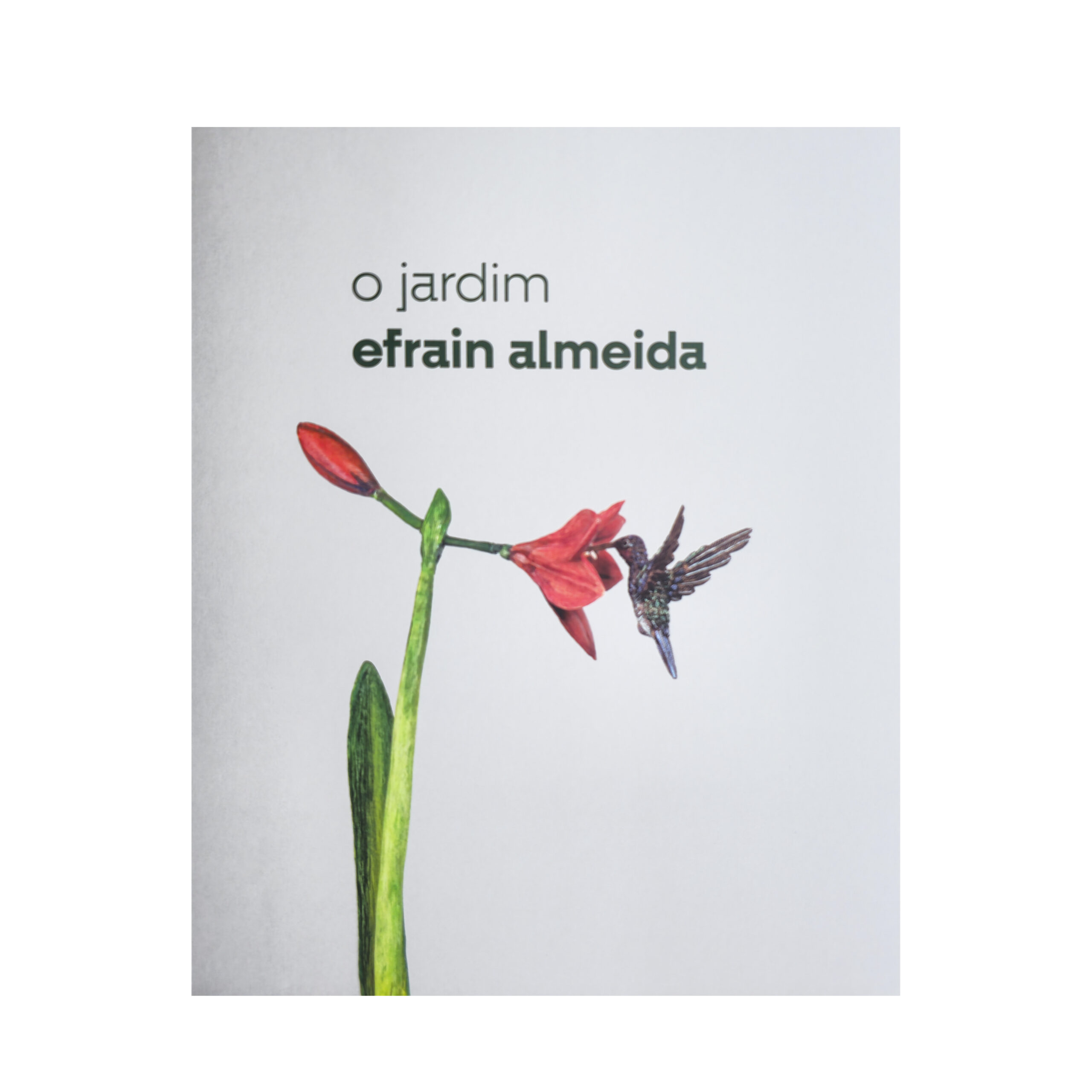efrain almeida: o jardim