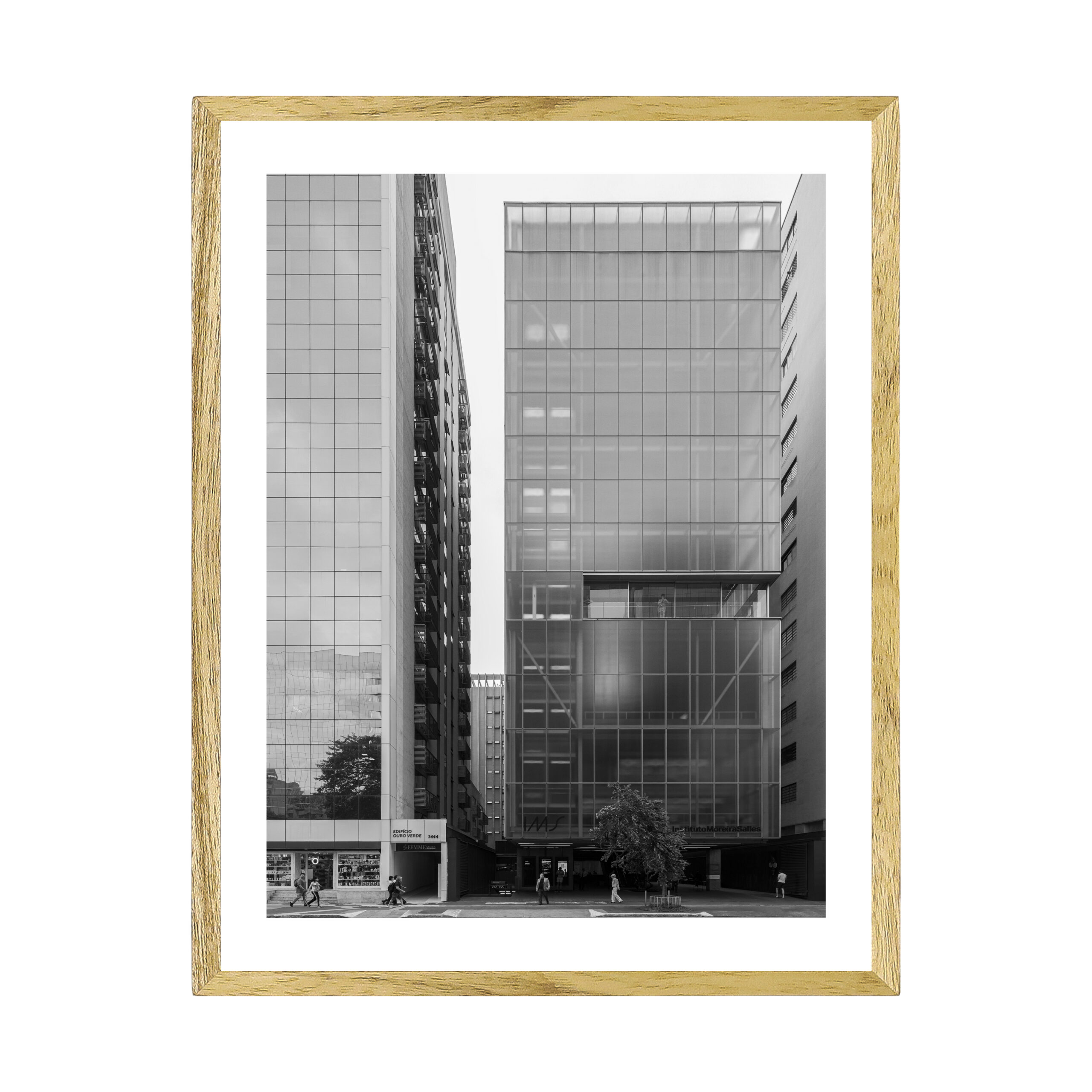 INSTITUTO MOREIRA SALLES