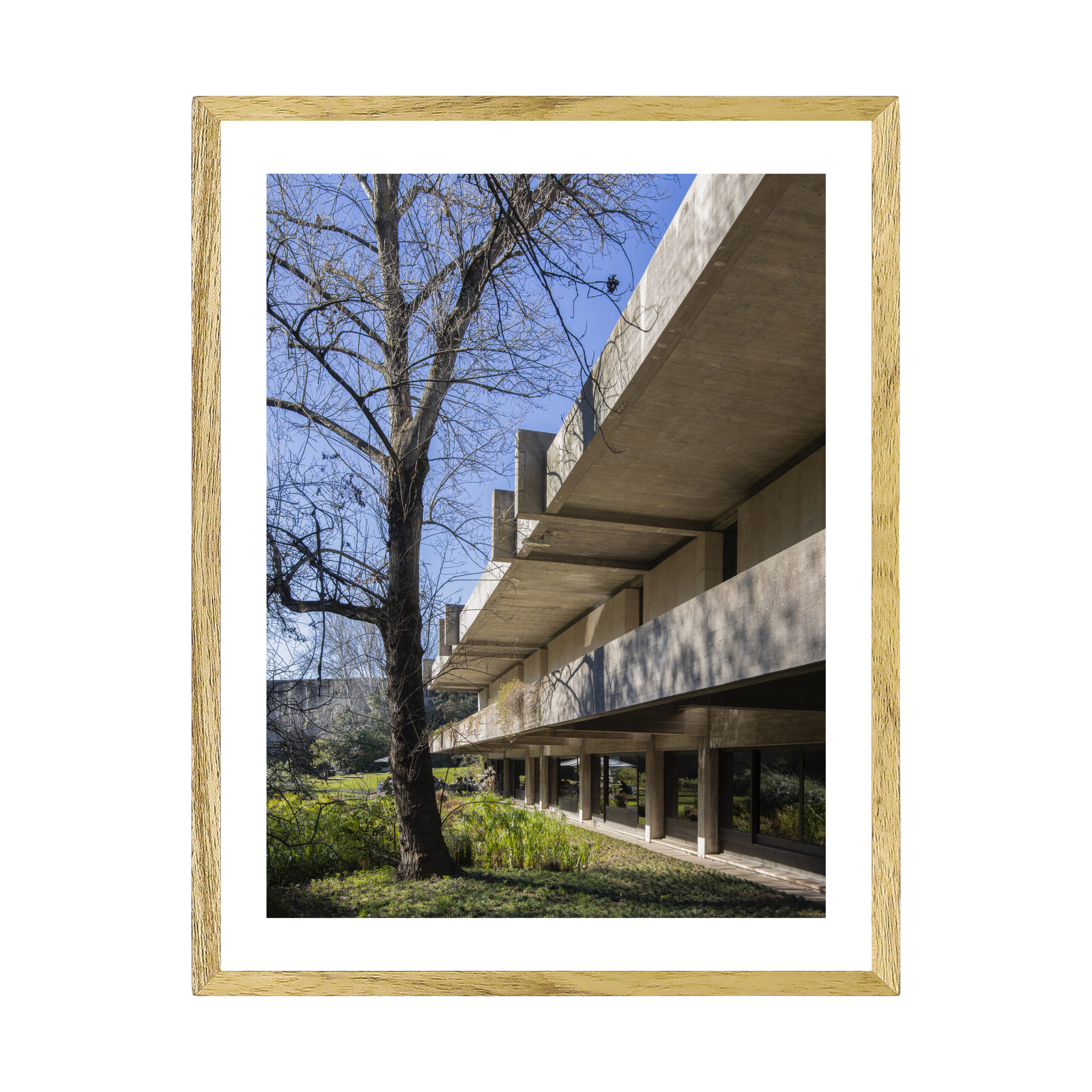 FUNDAÇÃO CALOUSTE GULBENKIAN