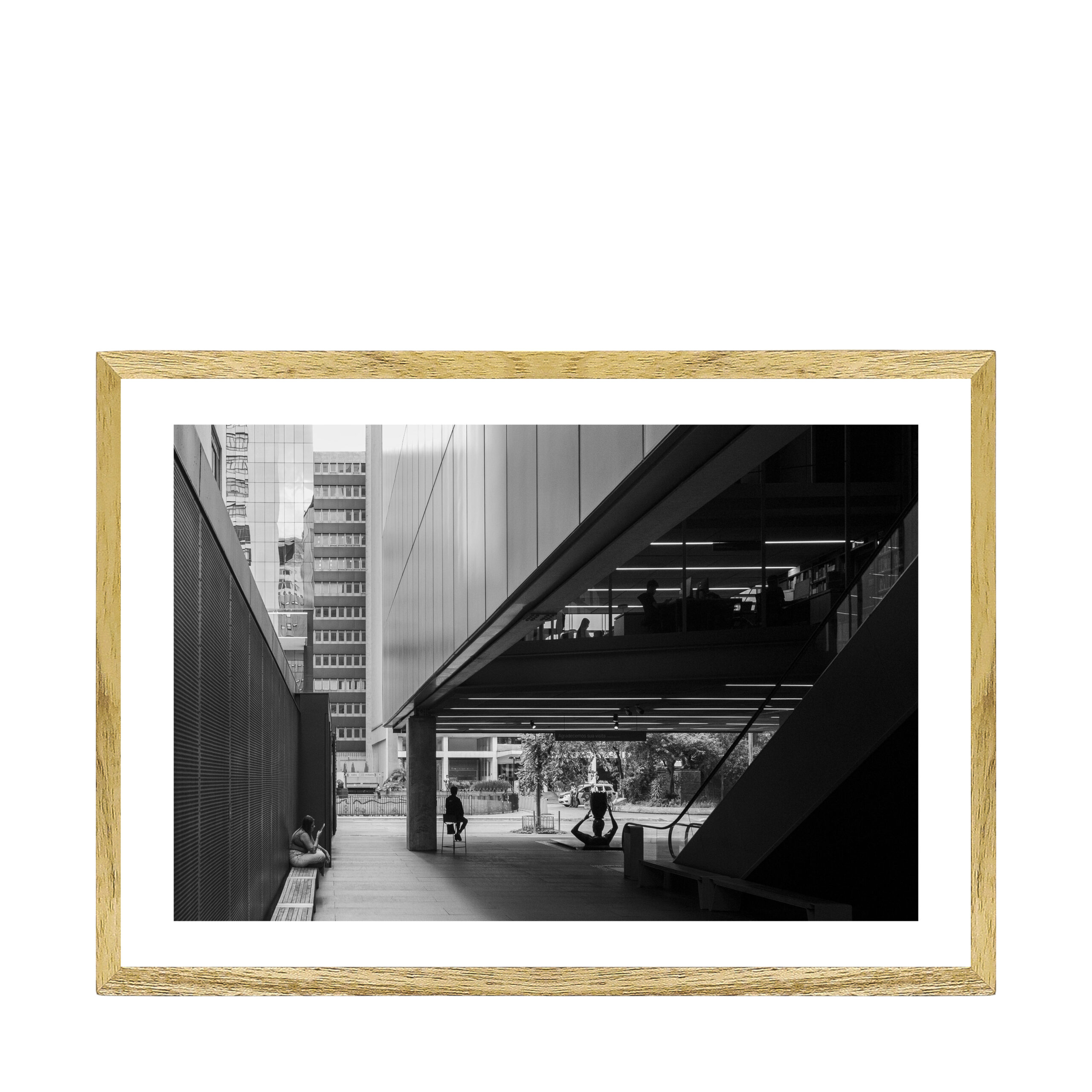 INSTITUTO MOREIRA SALLES